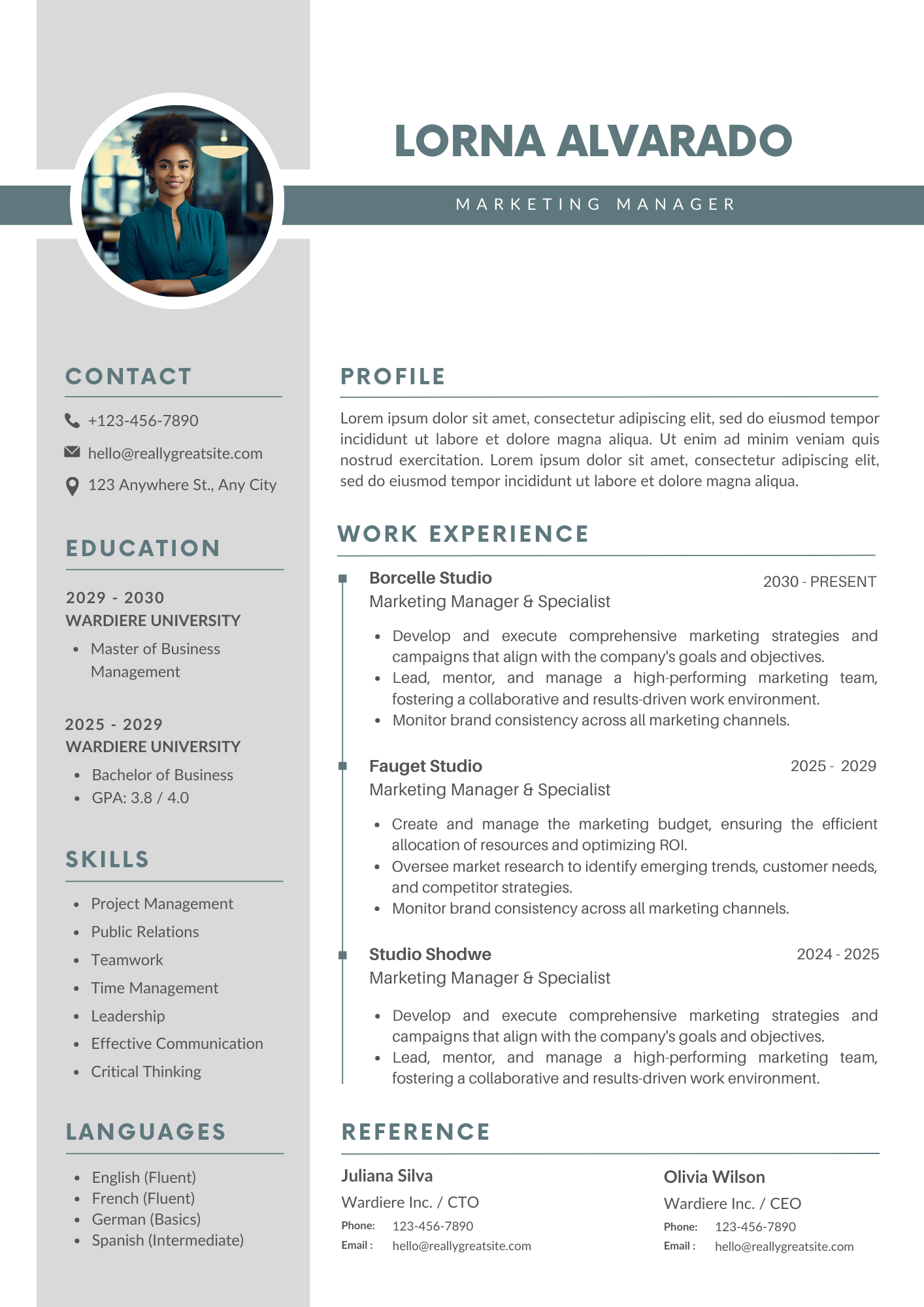 Professional CV Resume 